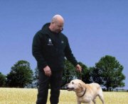 Dog Training